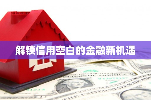 麻江解锁信用空白的金融新机遇