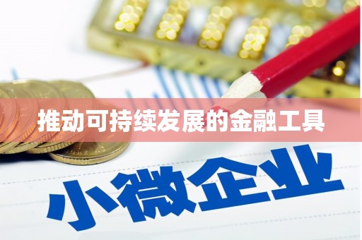 麻江推动可持续发展的金融工具