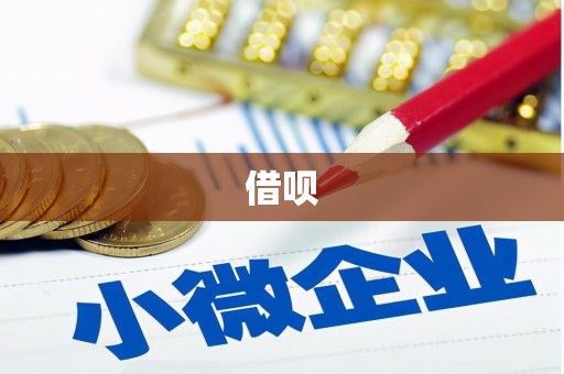 麻江借呗