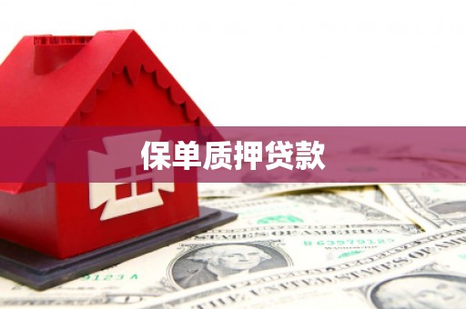 麻江保单质押贷款