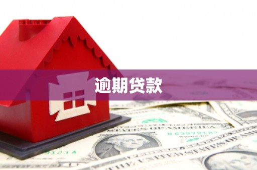 麻江逾期贷款