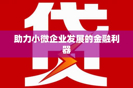 麻江助力小微企业发展的金融利器