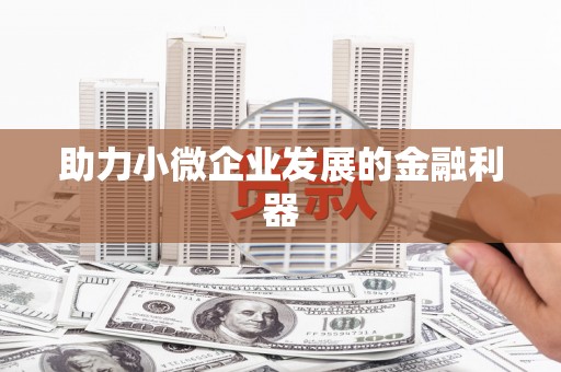 麻江助力小微企业发展的金融利器
