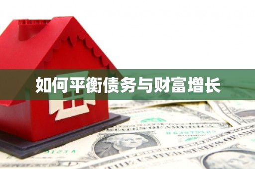 麻江如何平衡债务与财富增长