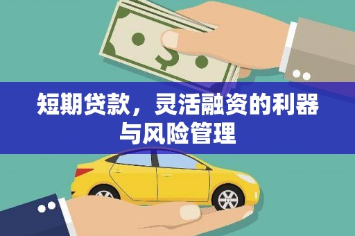 麻江短期贷款，灵活融资的利器与风险管理