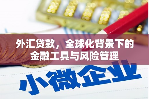 麻江外汇贷款，全球化背景下的金融工具与风险管理