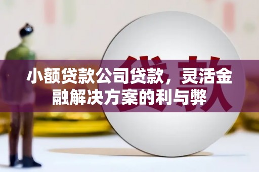 麻江小额贷款公司贷款，灵活金融解决方案的利与弊