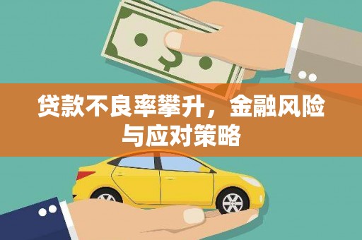 麻江贷款不良率攀升，金融风险与应对策略