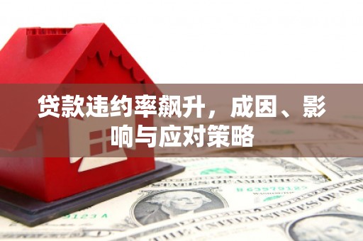 麻江贷款违约率飙升，成因、影响与应对策略